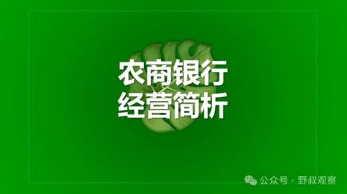 2024:农商银行经营比较 2024:农商银行经营比较