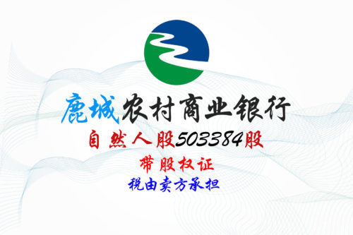 浙江鹿城农商银行503384股股权拍卖